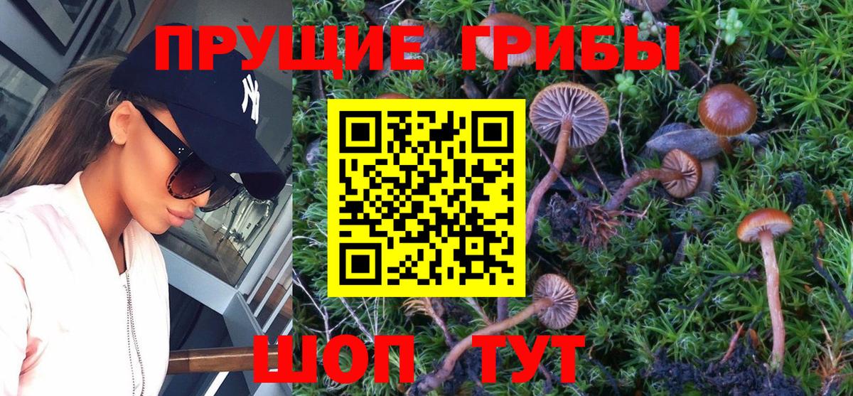 Алексеевка  Псилоцибиновые грибы мухоморы  Псилоцибиновые грибы MAGIC MUSHROOMS  Вход с VPN 