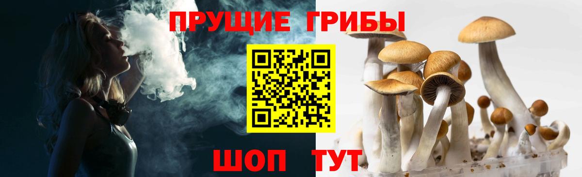 Галлюциногенные грибы мухоморы Алексеевка